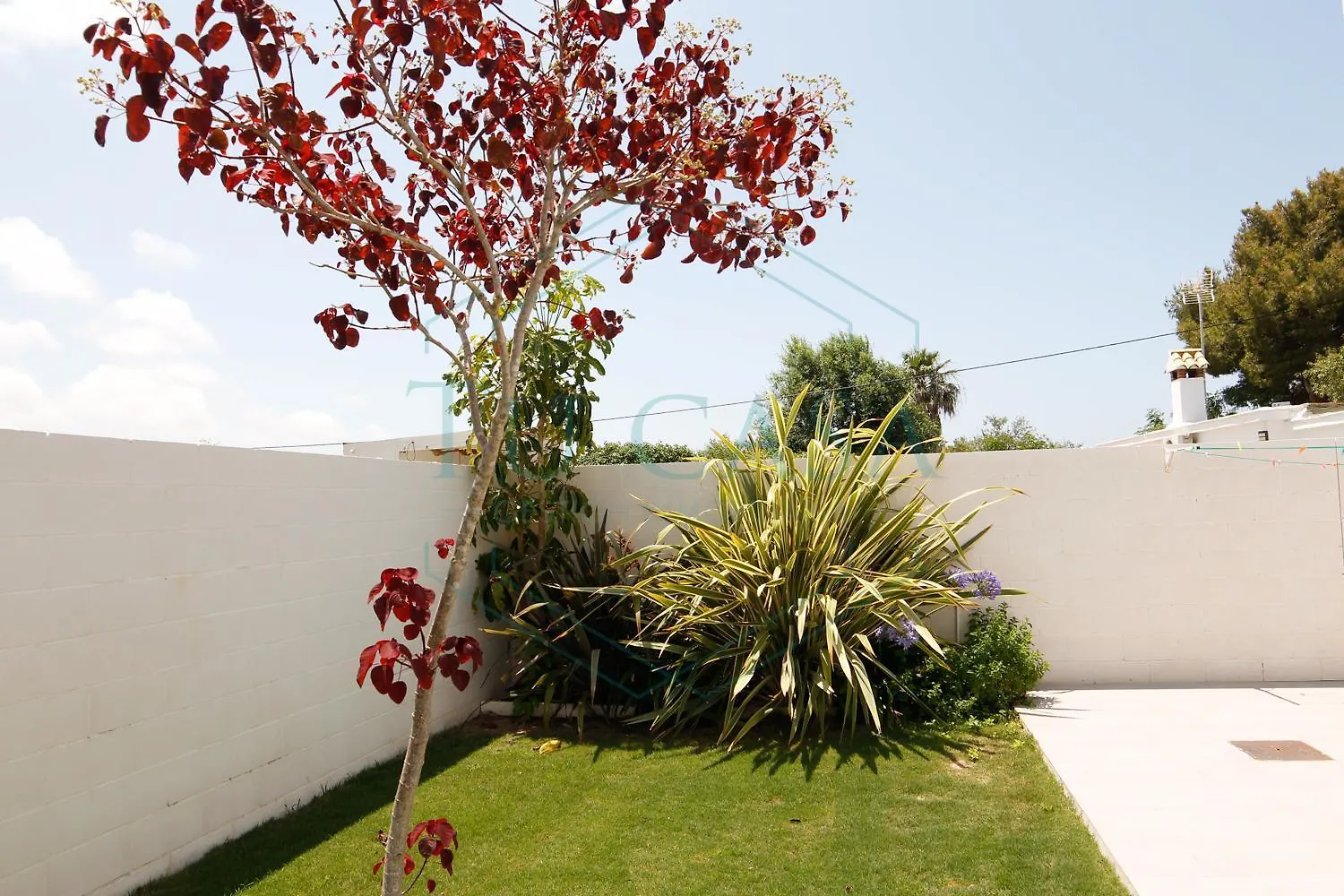 Villa Aurea Chiclana de la Frontera